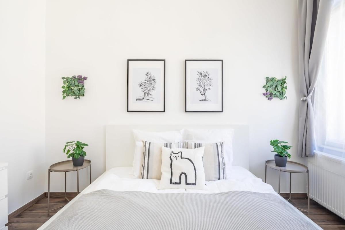 Fresh Cosy Style - Central Location بودابست المظهر الخارجي الصورة